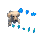 青空日記！！青空くんのLINEスタンプ♫（個別スタンプ：17）