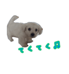 青空日記！！青空くんのLINEスタンプ♫（個別スタンプ：18）