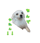 青空日記！！青空くんのLINEスタンプ♫（個別スタンプ：23）