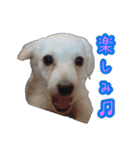 青空日記！！青空くんのLINEスタンプ♫（個別スタンプ：24）