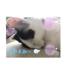 チョビ丸☆No.1（個別スタンプ：2）