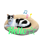 チョビ丸☆No.1（個別スタンプ：3）