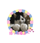 チョビ丸☆No.1（個別スタンプ：5）