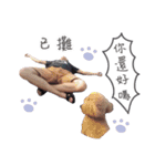 毎日食べる（個別スタンプ：3）