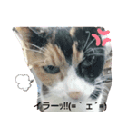 ららスタンプ1（個別スタンプ：2）