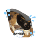 ららスタンプ1（個別スタンプ：4）