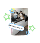ららスタンプ1（個別スタンプ：5）