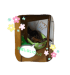 ららスタンプ1（個別スタンプ：6）