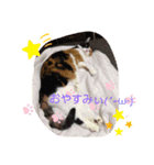 ららスタンプ1（個別スタンプ：7）