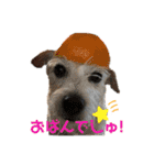 ルーしゃんがんばるんば（個別スタンプ：2）