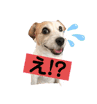 ルーしゃんがんばるんば（個別スタンプ：12）