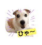ルーしゃんがんばるんば（個別スタンプ：14）