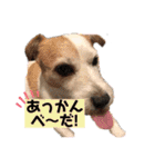 ルーしゃんがんばるんば（個別スタンプ：16）