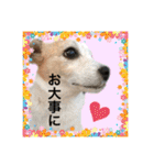 ルーしゃんがんばるんば（個別スタンプ：19）