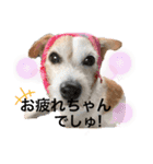 ルーしゃんがんばるんば（個別スタンプ：22）