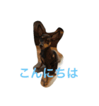 ミニピンのしおたん（個別スタンプ：22）