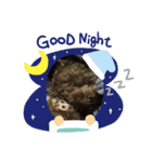 わんこスタンプ♪（個別スタンプ：4）
