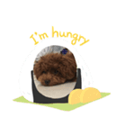 わんこスタンプ♪（個別スタンプ：8）