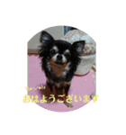 親バカスタンプ⑤（個別スタンプ：1）