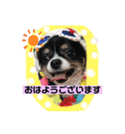 チワワのるーくん！（個別スタンプ：9）