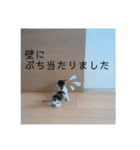 ねこどものすたんぷ（個別スタンプ：2）