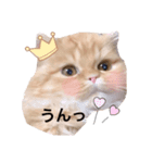 うり1（個別スタンプ：1）
