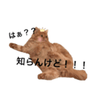 うり1（個別スタンプ：5）