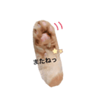うり1（個別スタンプ：7）