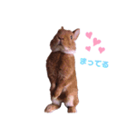 ルフォンのスタンプ（個別スタンプ：1）