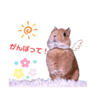 ルフォンのスタンプ（個別スタンプ：4）