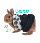 ルフォンのスタンプ（個別スタンプ：16）