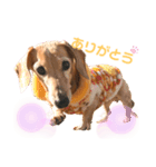 マリーちゃん大好き！(ダックス犬)（個別スタンプ：2）