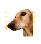 マリーちゃん大好き！(ダックス犬)（個別スタンプ：14）