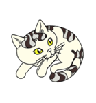 かわいい ちびねこ ちびこ（個別スタンプ：2）