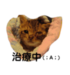 通りすがりの猫達②（個別スタンプ：36）