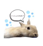 うさぎの麦くん（個別スタンプ：2）