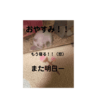 ハサミニくんNo. 1返信拒否に使えるぜよ！（個別スタンプ：8）