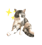 ぐぅちゃんのスタンプ（個別スタンプ：3）