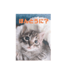 Reicoとネコ（個別スタンプ：4）