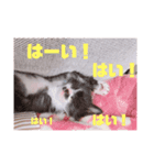 Reicoとネコ（個別スタンプ：6）