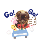 ダイアちゃん（個別スタンプ：7）
