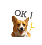 ベッキーのスタンプ。（個別スタンプ：2）