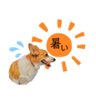 ベッキーのスタンプ。（個別スタンプ：19）
