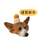 ベッキーのスタンプ。（個別スタンプ：24）