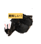 5月違うのに鯉のぼり早くない。（個別スタンプ：6）