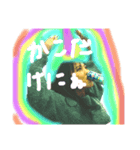 Fラン兄弟たち（個別スタンプ：8）