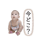ひなごんだよ。（個別スタンプ：8）