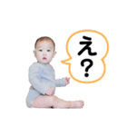 ひなごんだよ。（個別スタンプ：11）