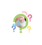 ぷりんコレクション（個別スタンプ：3）