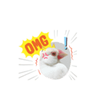 ぷりんコレクション（個別スタンプ：6）